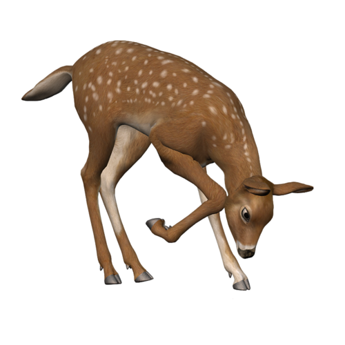 őszi állatok_106.png